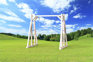 outdoor playset The Swing