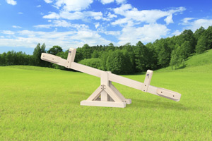 outdoor playset The Teeter